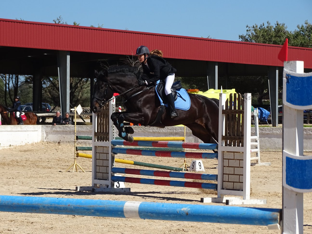 Mastery of the Equiesport riders